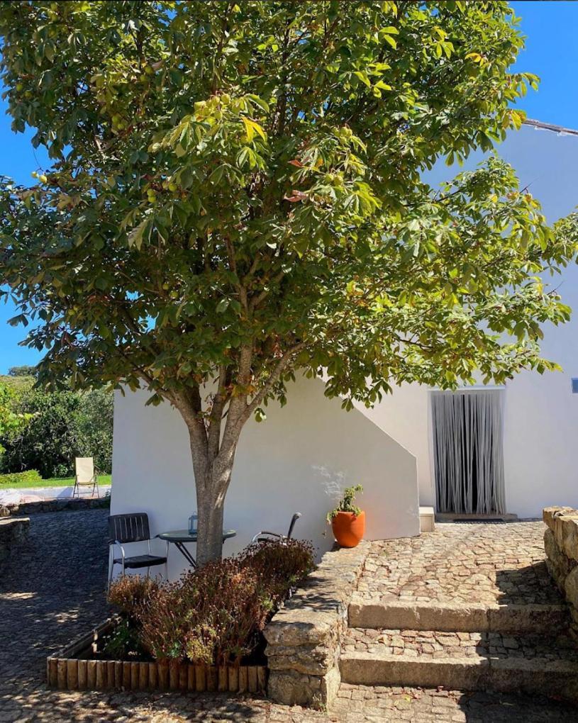 Quinta D'Abegoa Villa Marvão Eksteriør bilde